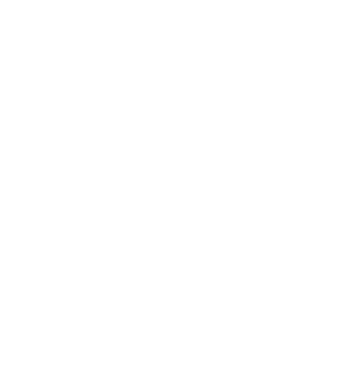 AW Professional Translation Services logo